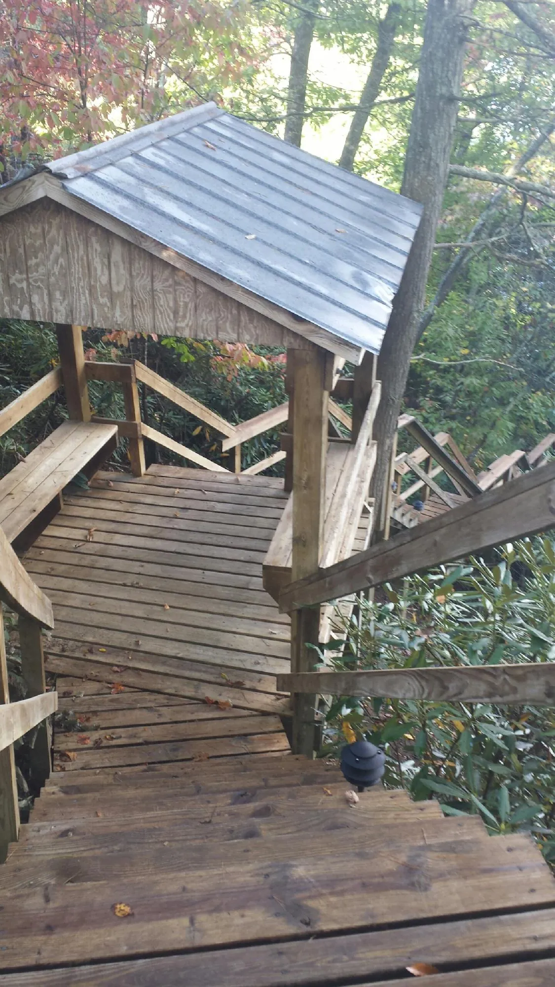 Metal roofed shelter over wooden steps on a wooded walkway — Skylight Repair & Installation work by our crew in Clifton